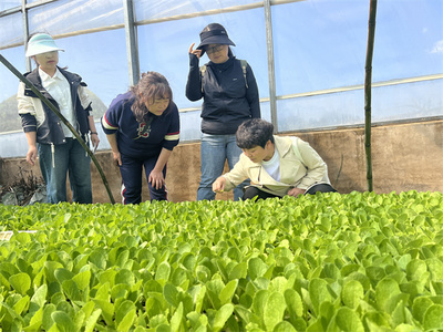 省级科技特派员下沉平坝，春季科技服务助力农业病虫害精准防治