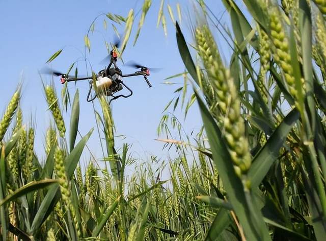 科技赋能保粮安 宝丰县供销社利农公司积极参与小麦病虫害飞防会战