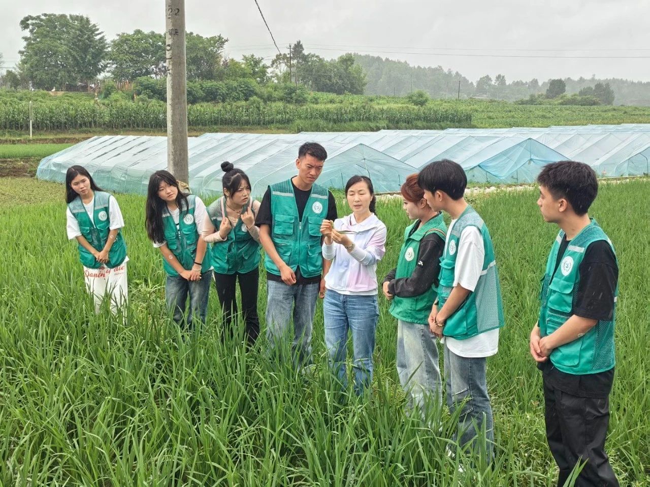 践行实践育人 贡献青春力量——学院暑期“三下乡”社会实践活动侧记（五）农业病虫害防治活动纪实