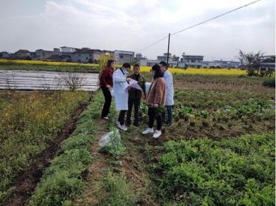 恰是春耕正当时，科学防治护丰年——记农业病虫害防治活动