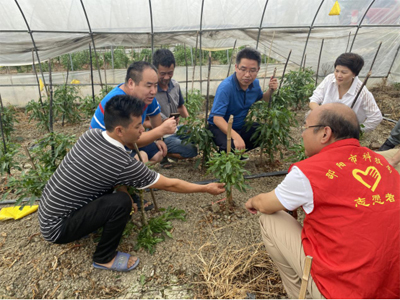 科技下乡润沃土，精准防治助振兴——市科技局农业病虫害防治活动纪实
