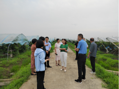 科技赋能，绿色防控——现代农业病虫害防治新实践