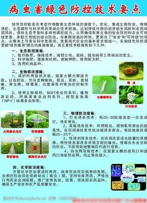 田间守护者 农业病虫害防治活动纪实