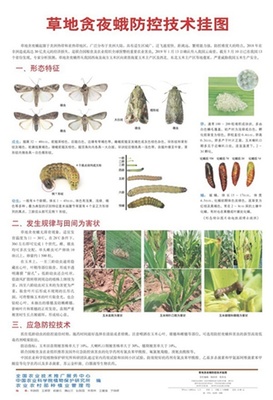 农业农村部出版《秋黏虫防控技术挂图》,扩大宣传助力阻击保安全