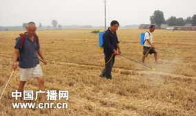 科技驱动农业革新 智能防治病虫害的新篇章