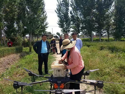 统防统治防病害，“虫口夺粮”保丰收——滕州市圆满完成小麦穗期病虫害防治工作